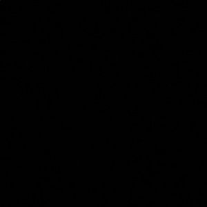 Meet your Posher, Jillian